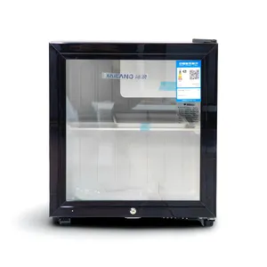 Mini soyuducu Hailang BC-71TE Black
