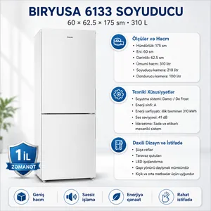 Biryusa 6133 AG 210/100 l 60×62.5×175 sm
