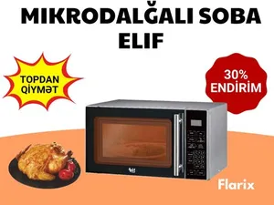 Mikrodalğalı soba Elif ZTW-EL500