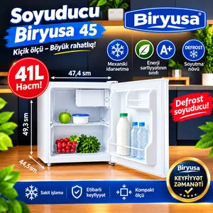 Mini soyuducu Biryusa 41 l A+ ağ