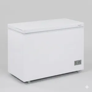 DONDURUCU SANDIQ BIRYUSA B-240KVS DEMIR QAPAQ DEFROST 220L AG INVERTOR