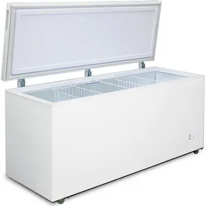 Dondurucu qutu Biryusa 560KX