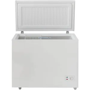 Dondurucu qutu Biryusa 210 KX