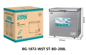 Dondurucu qutu Winning Star ST-BD-208L 208 l gümüşü.