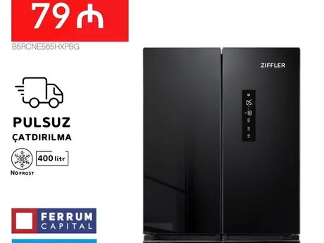 Ziffler 401 Black — холодильники