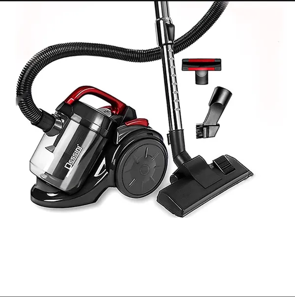 Dessini DS-111 — tozsoranlar