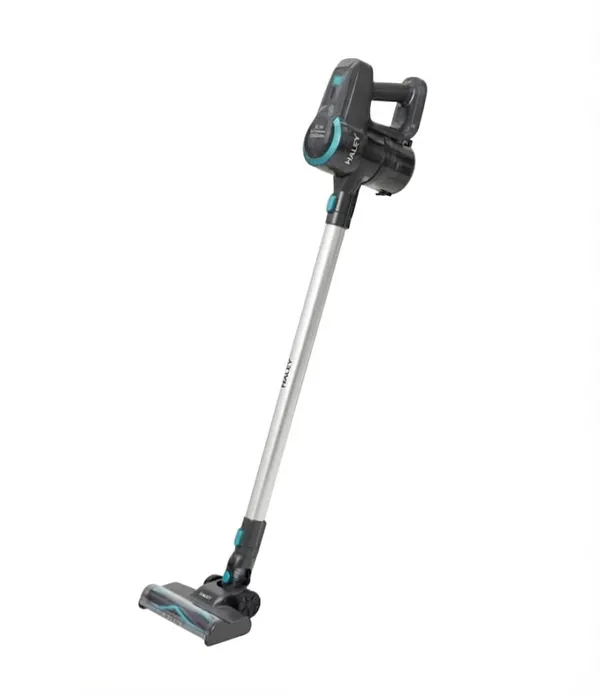Simsiz vertikal tozsoran Haley (KL-774010) — tozsoranlar