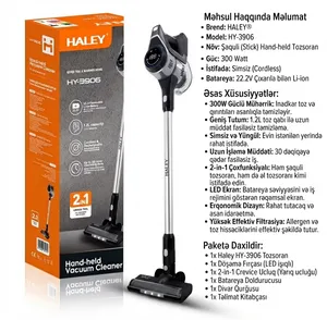 Vertikal tozsoran Haley HY-3906 simsiz quru 300 W qara-gümüşü
